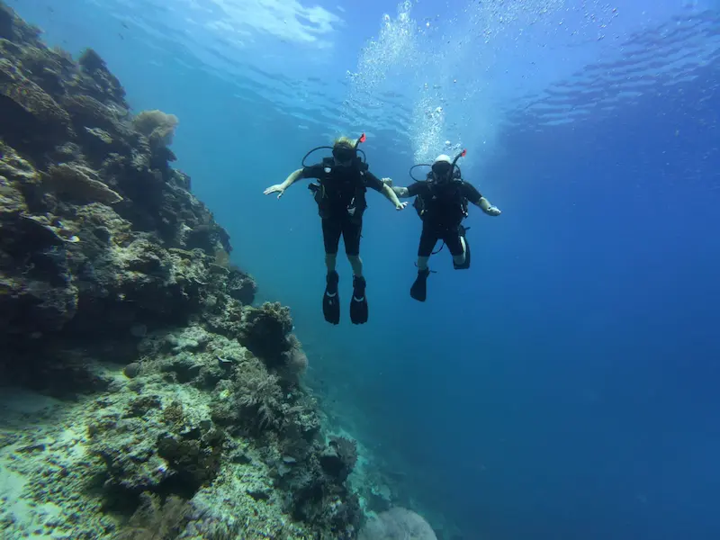 Snorkeling Experience