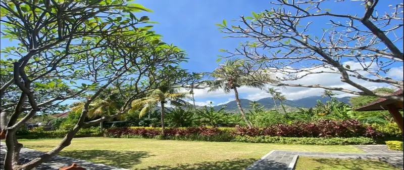 Lush Garden
